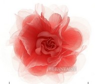 Broche Fleur en Tulle